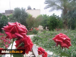 مرکز آموزش عالی خدیجه کبری (س) دزفول