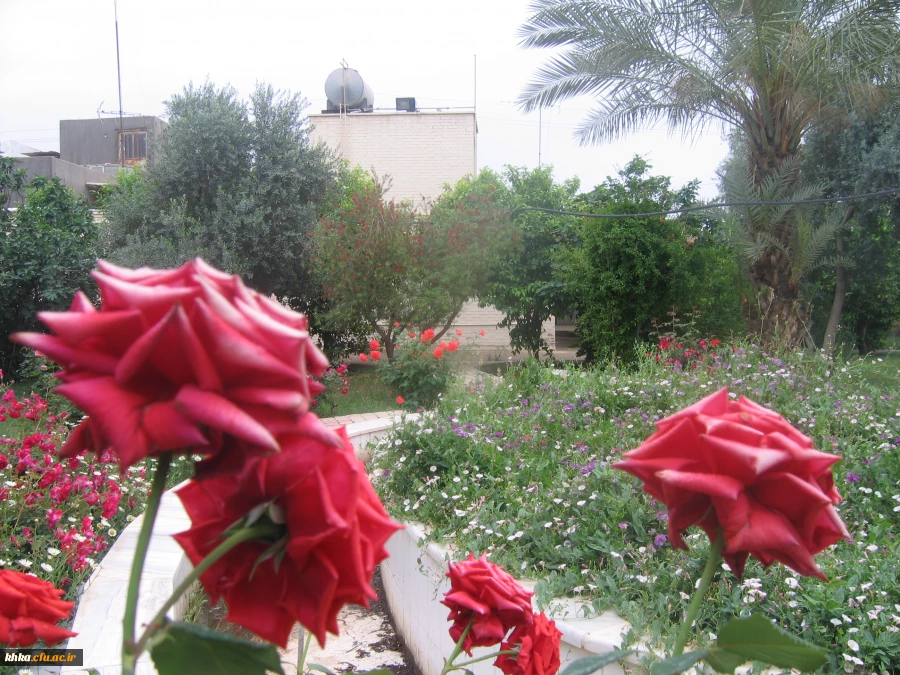 مرکز آموزش عالی خدیجه کبری (س) دزفول