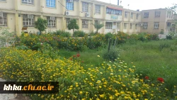 مرکز آموزش عالی حضرت خدیجه کبری (س) دزفول