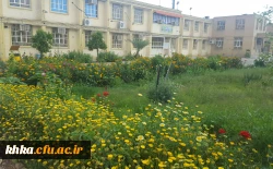 طبیعت زیبای مرکز آموزش عالی خدیجه کبری (س) دزفول