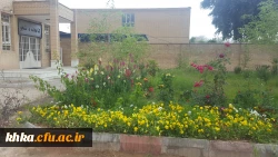 طبیعت زیبای مرکز آموزش عالی خدیجه کبری (س) دزفول