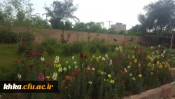 طبیعت زیبای مرکز آموزش عالی خدیجه کبری (س) دزفول