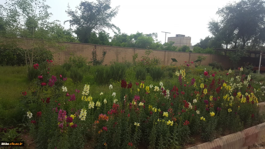 طبیعت زیبای مرکز آموزش عالی خدیجه کبری (س) دزفول