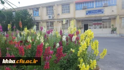 مرکز خدیجه کبری (س) دزفول