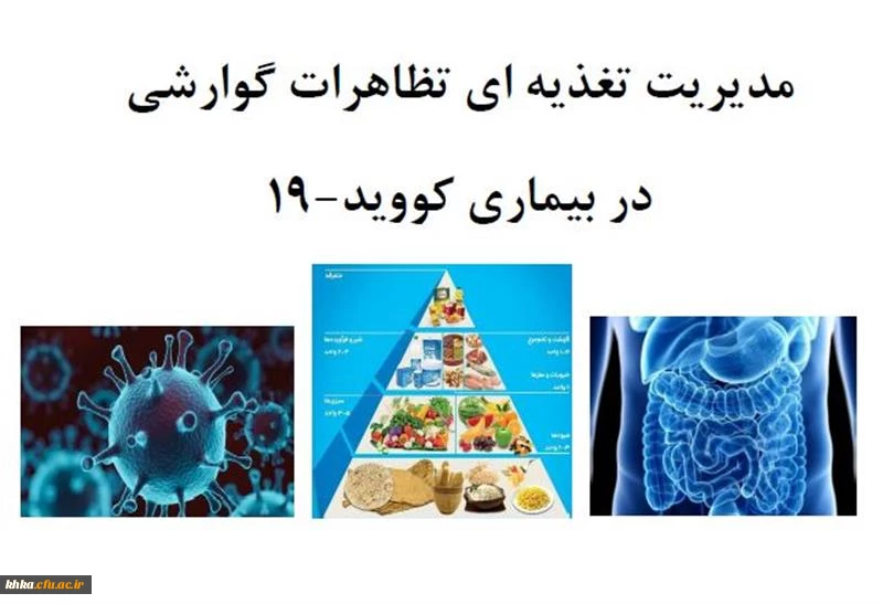 آموزش سرفصل های پراهمیت تغذیه ای و بیماری کووید 19 4