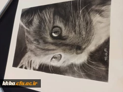 یاسمین زرگانی-سیاه قلم