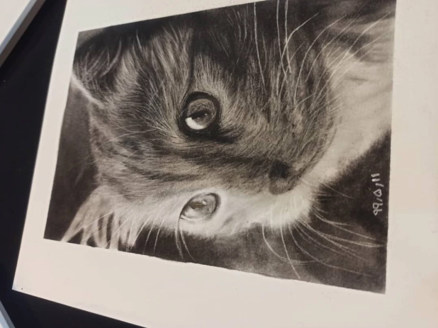 یاسمین زرگانی-سیاه قلم