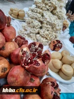 برگزاری مراسم شب یلدای فاطمی در سرای دانشجویی
 2