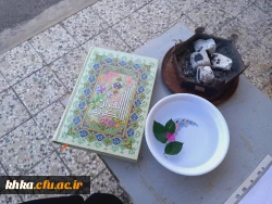 آذین بندی دانشگاه به مناسبت دهه فجر 4