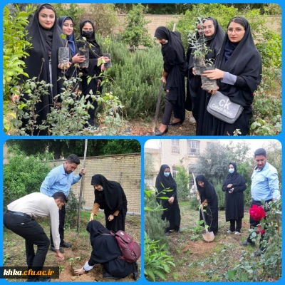 برگزاری گرامیداشت آیین روز درختکاری در مرکز آموزش عالی حضرت خدیجه کبری(س) دزفول