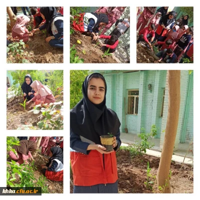 کاشت نهال به مناسبت روز درخت کاری در دبستان استثنایی بوعلی