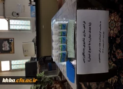 بازدید کارشناس مرکز بهداشت در راستای پیشگیری از شیوع پدیکلوزیس 5