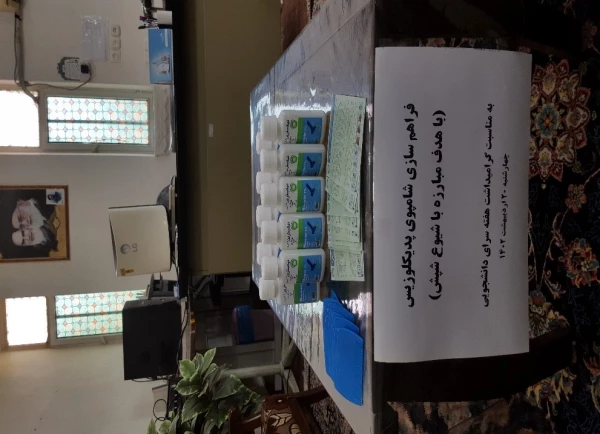 بازدید کارشناس مرکز بهداشت در راستای پیشگیری از شیوع پدیکلوزیس 5