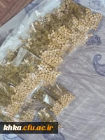 برگزاری مراسم شب یلدا در سرای دانشجویی 5