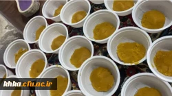  مراسم گرامیداشت ایام فاطمیه  5