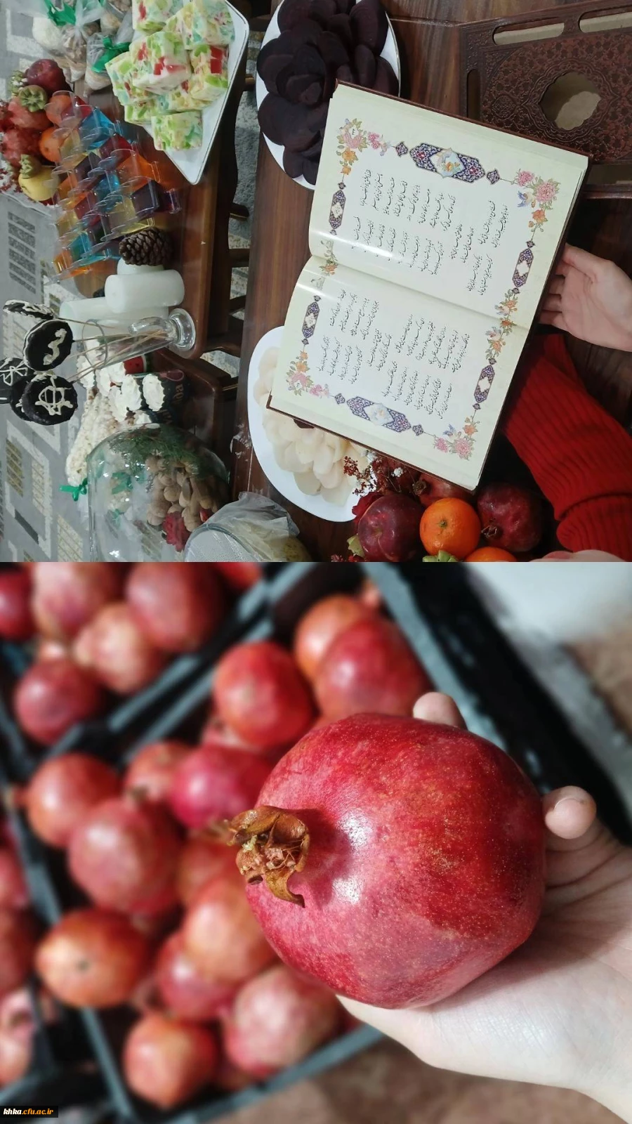 برگزاری مراسم شب یلدا در سرای دانشجویی 5