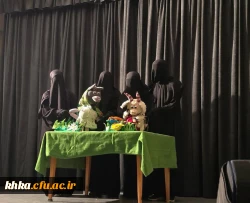 اجراهای تئاتر عروسکی دختران در جشنواره سرود و هنرهای نمایشی دزفول- بهمن ماه ۱۴۰۳ 4