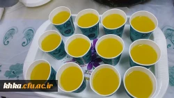   مراسم جشن میلاد حضرت امام رضا (علیه السلام) 3