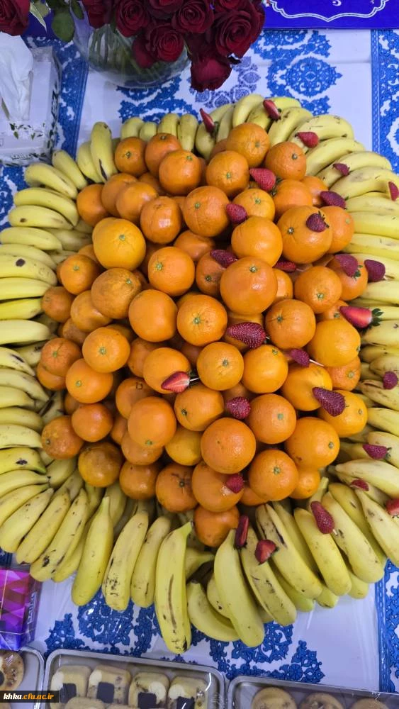 برگزاری مراسم ضیافت شام اساتید مرکز آموزش عالی حضرت خدیجه کبری(س)  و مدیران مدارس کارورزی به مناسبت بزرگداشت مقام معلم و دهه سرآمدی آموزش 6