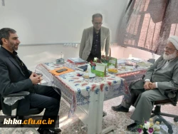 برگزاری مصاحبه تخصصی اساتید گروه تربیت اسلامی در مرکز آموزش عالی حضرت خدیجه کبری(س) دزفول  5