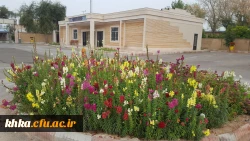 نمایی از سالن اجتماعات حاج حسن بیدلی مرکز آموزش عالی حضرت خدیجه کبری(س) دزفول