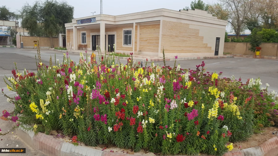 نمایی از سالن اجتماعات حاج حسن بیدلی مرکز آموزش عالی حضرت خدیجه کبری(س) دزفول