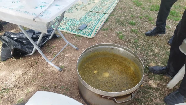 برگزاری گشت دسته جمعی و برنامه ورزشی گروهی و مسابقات دوستانه ویژه کارکنان به مناسبت اعیاد شعبانیه و دهه فجر  6