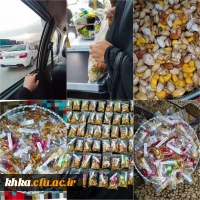 طرح حمایتی از رزمندگان ویژه جنگ رمضان  2