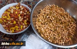 تهیه و توزیع وعده غذایی برای حافظان امنیت(قسمت سوم) 4