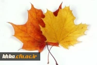 پورتال سازمان مرکزی